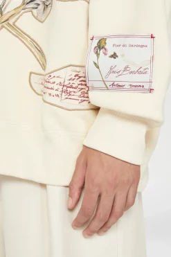 Alisso