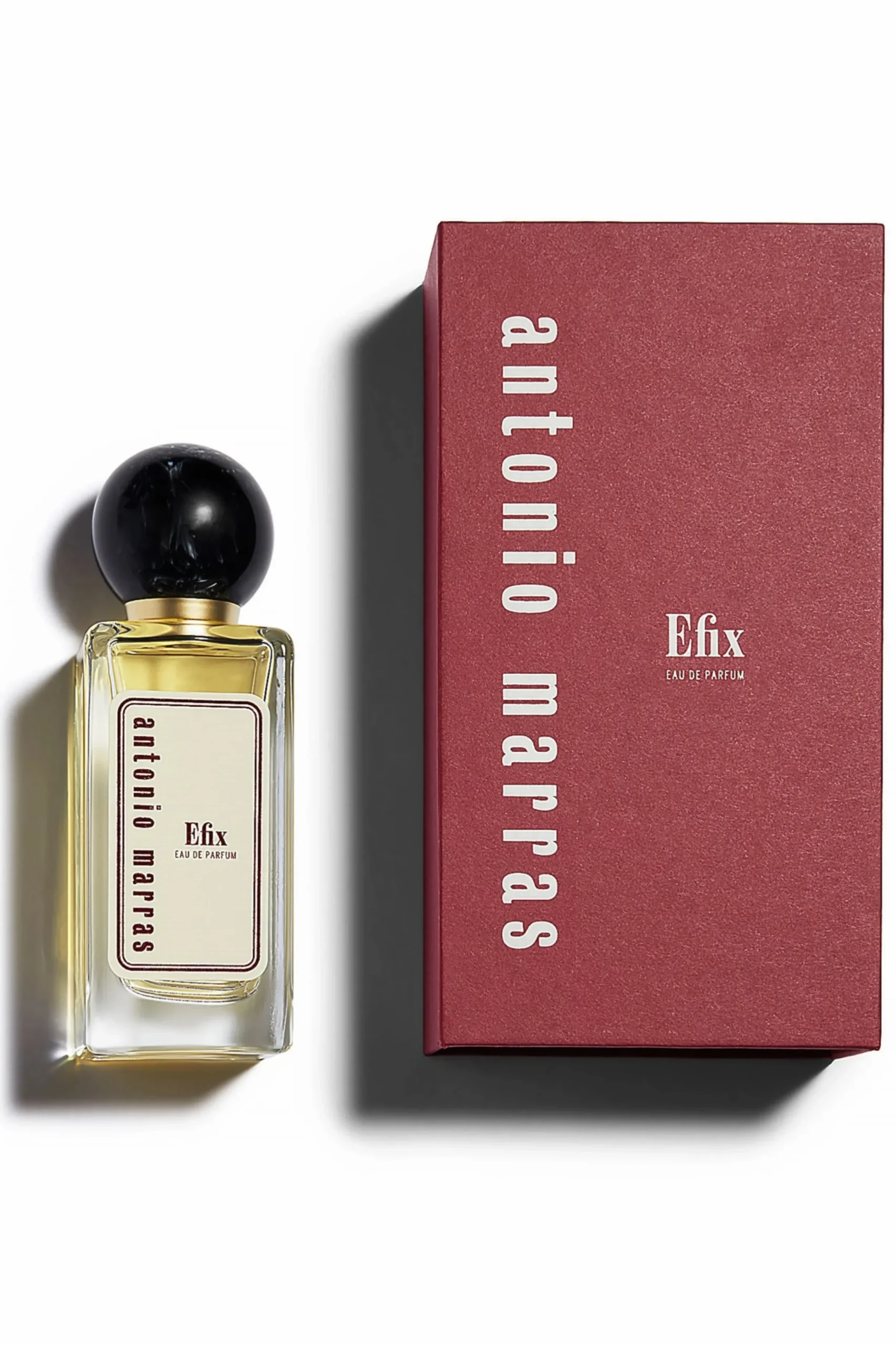 Efix