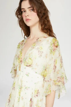 Orchidea