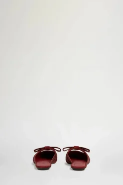 Zinnia Bordeaux