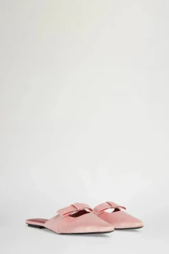 Zinnia Rosa