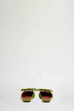 Zinnia Verdi